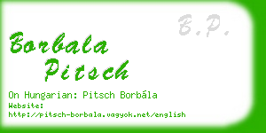 borbala pitsch business card